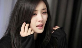 娱乐爆料 白鹿刘亦菲是哪一期,娱乐爆料揭秘哪一期精彩瞬间